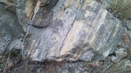 Гигантские зелёные валуны для ландшафтного дизайна весом более 5 тонн купить в Брянске