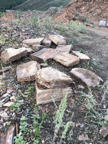 Плитняк кора дерева 50-100мм для пошаговых дорожек купить в Брянске